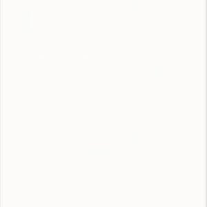 006777 REVEST FORMIGRES BRANCO BRIL 34X60 CX2,10MT