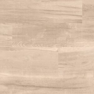 009154 PORCELAN DELTA RT PEROBA MARFIM ACET 60X120 2,88
