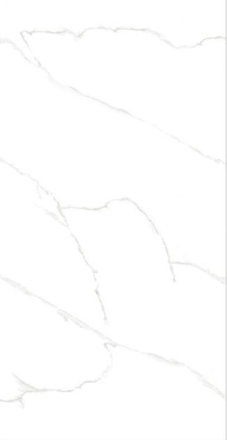 PORC GAUDI CALACATA ENDLESS POL 60X119 CX 2,15
