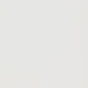 REVEST ELIANE BRANCO RT ACET 32X60 CX 2,30