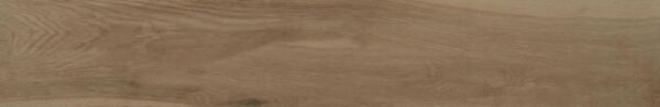 PORC ELIANE RESERVA NATURAL ACET 19,7X120 CX 1,65